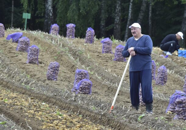 „Prosperitatea” dictaturilor: în Belarus, cartoful a ajuns un produs de lux