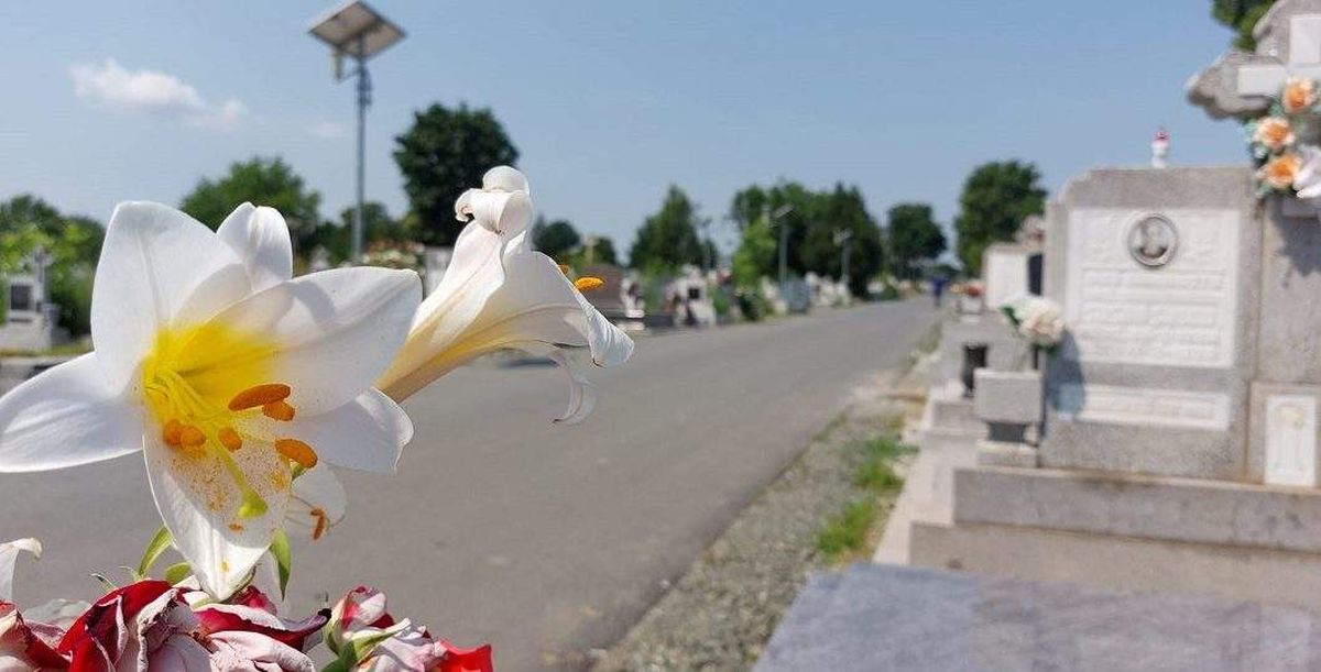 SPECIAL ARAD | Primăria Arad vrea să interzică coroanele în cimitirele care țin de municipalitate