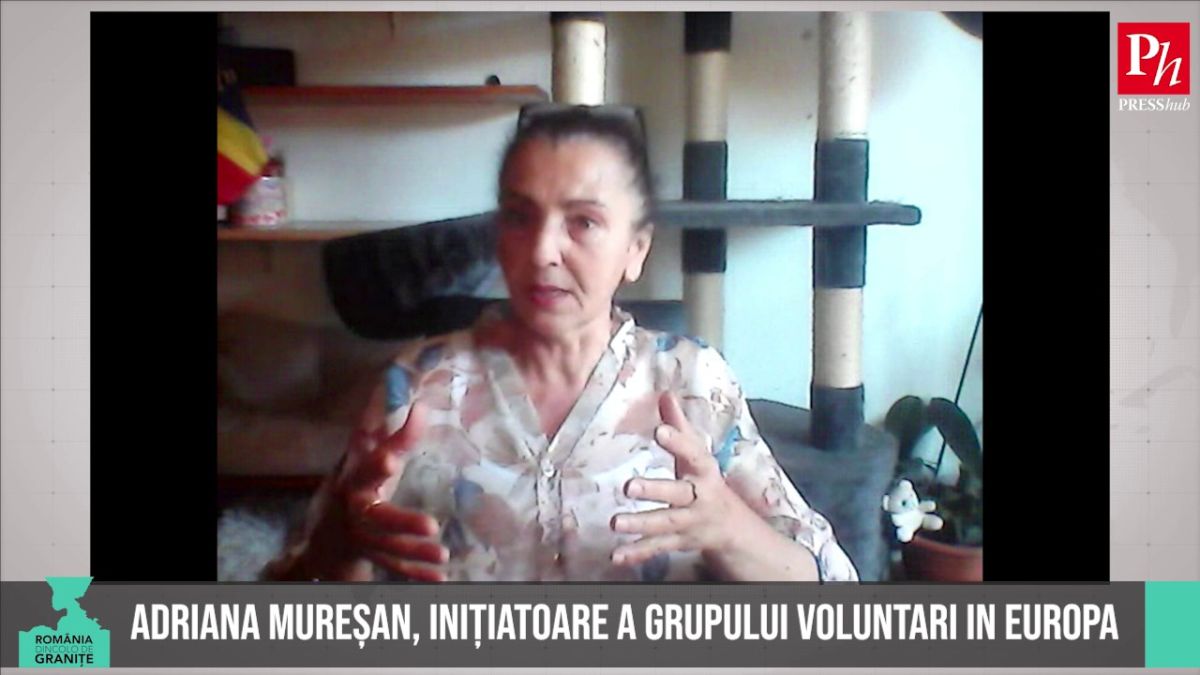 “Diaspora vrea un Minister, nu doar un departament”. Despre petiție, cu Adriana Mureșan