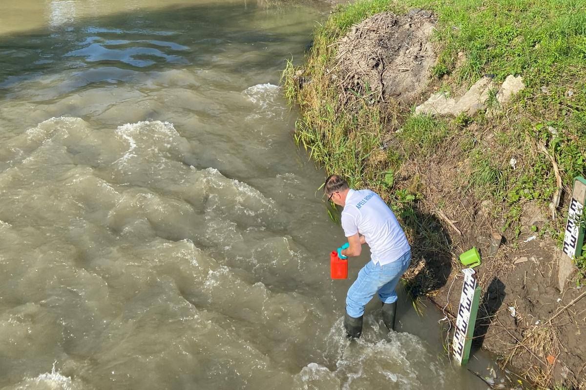 Salinitate de peste 18 ori mai mare decât limita admisă, pe Târnava Mică, la Blaj