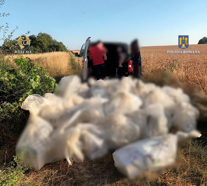 BIHOREANUL | Rețea de hoți români de pesticide, destructurată în urma unei anchete internaționale. Descinderi în Bihor, Galați și Vrancea. Prejudiciul depăşeşte 3 milioane de euro