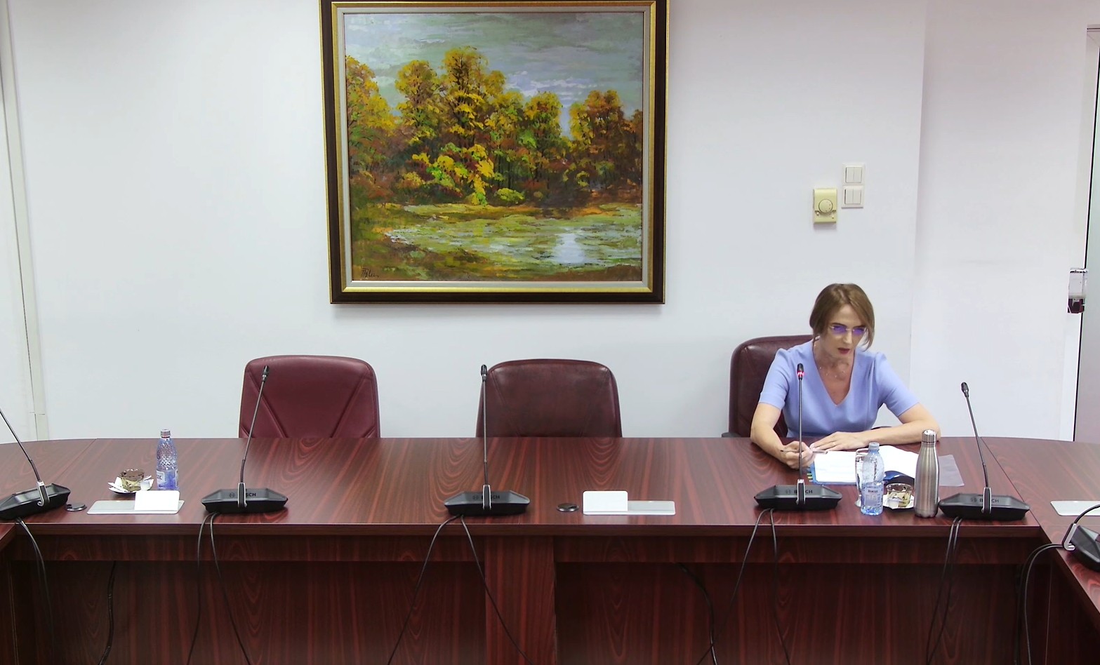 Lia Savonea a susținut un interviu în fața CSM, o formalitate pentru a ajunge președintele ICCJ