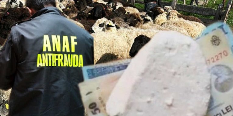 Un oier din Brăila le-a dat șpagă 800 de lei inspectorilor ANAF, apoi i-a denunțat și i-a filmat când s-au întors după 8 kg de brânză