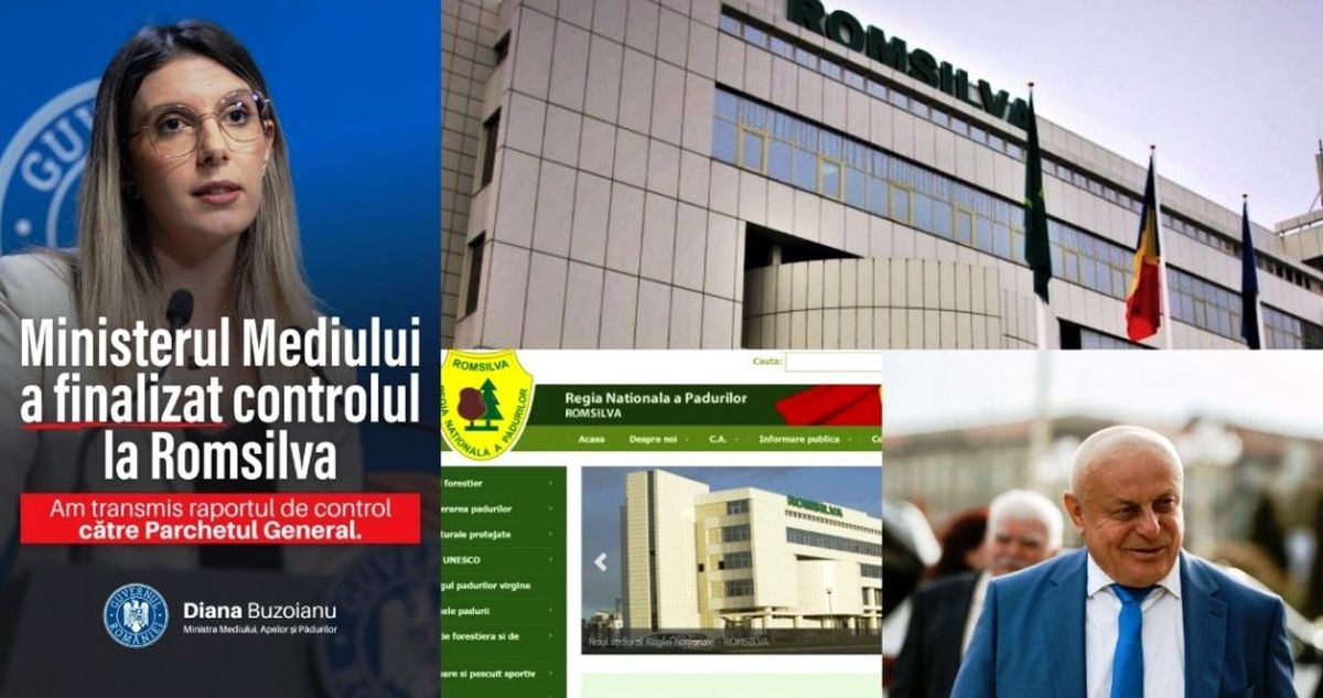 Direcția Silvică Arad, de la neregulile descoperite de Curtea de Conturi, la verificările corpului de control al ministrului Mediului