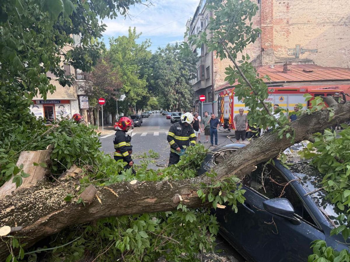 Furtuna a făcut prăpăd în București și Ilfov. O femeie a murit, alte două persoane au fost rănite. Zeci de copaci doborâți de vânt