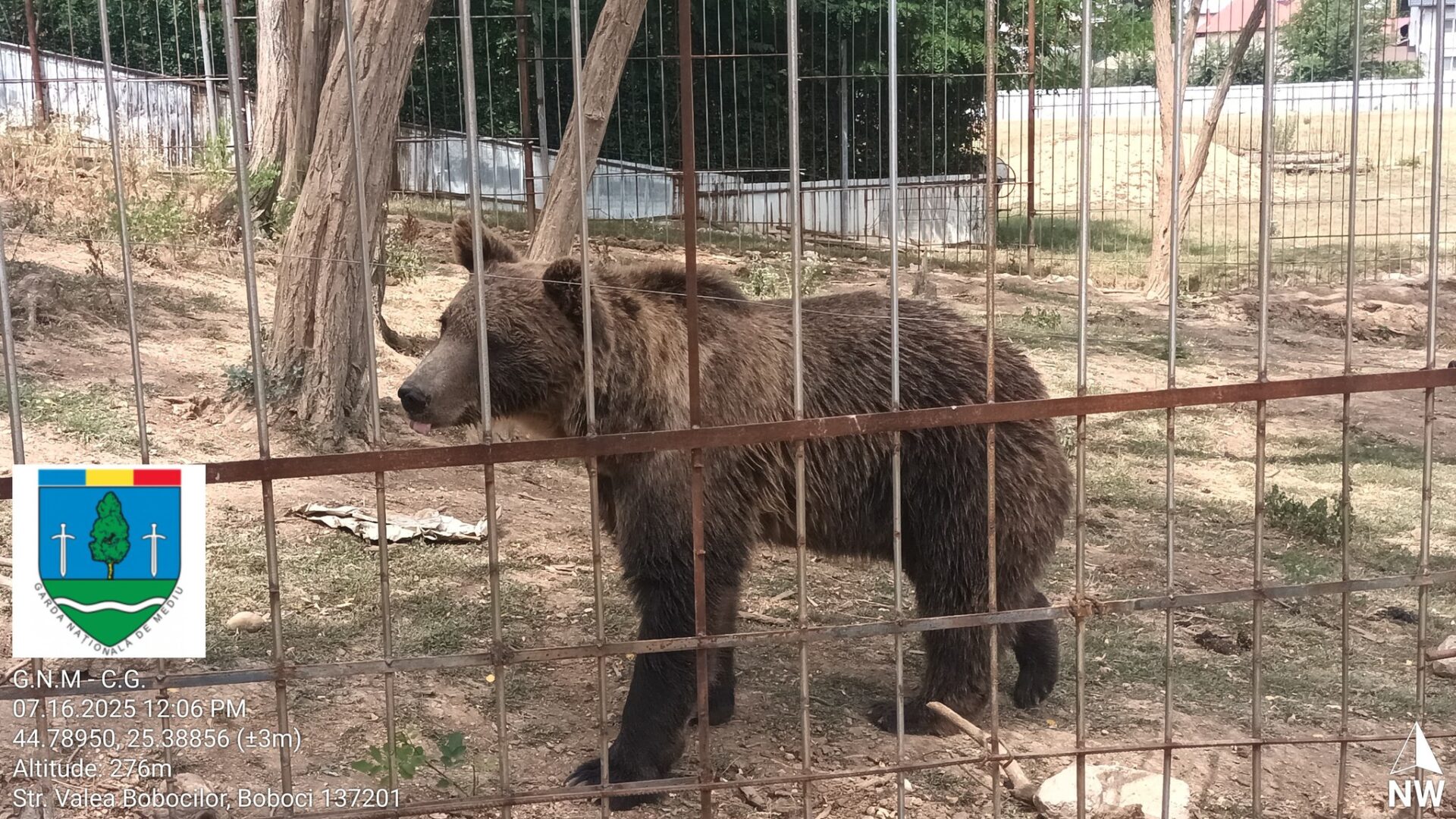 O grădină zoologică ilegală a fost amendată cu 120.000 de lei în Dâmbovița. Animalele sălbatice, ținute în captivitate, trăiau în condiții improprii
