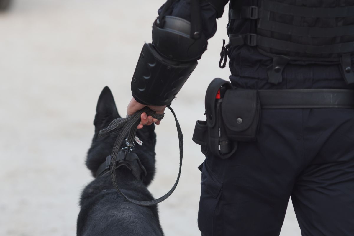 400 de polițiști, jandarmi, pădurari și paznici de vânătoare îl caută pe bărbatul suspectat că și-a ucis fosta iubită și i-a incendiat locuința