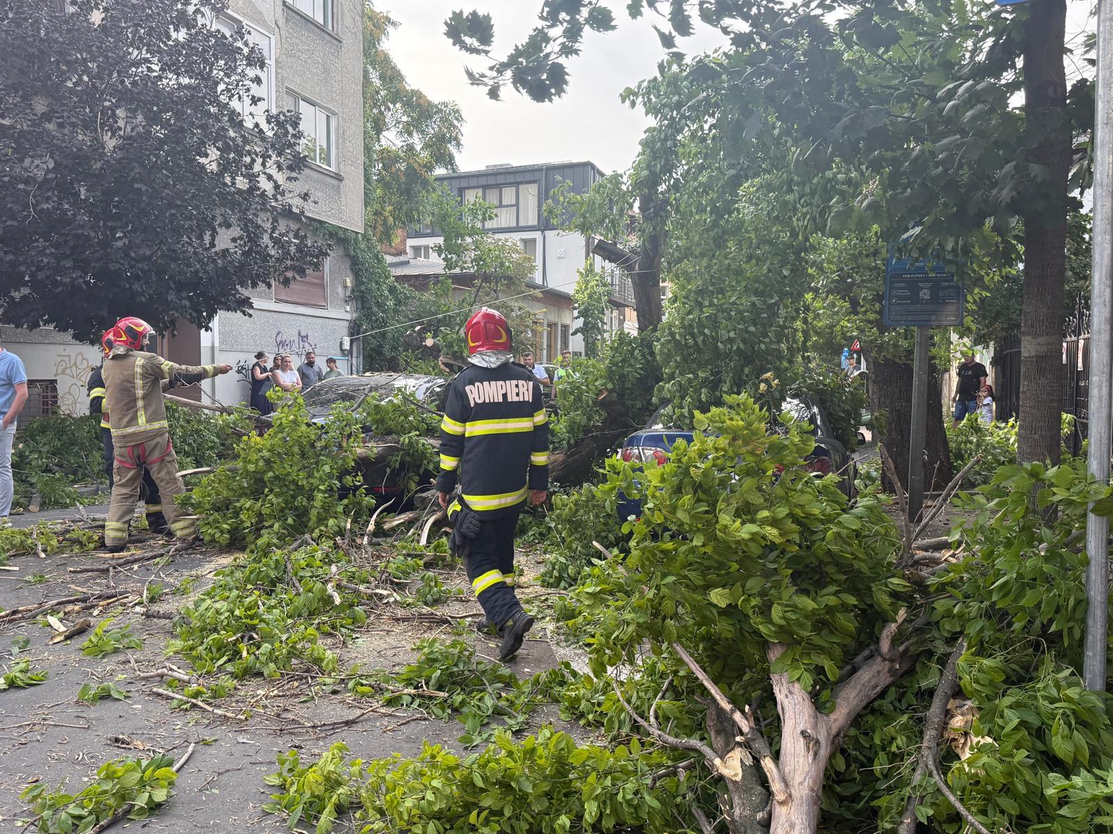 FOTO Vremea severă a făcut ravagii în 60 de localități din 14 județe și în Capitală. O persoană decedată, zeci de gospodării inundate și sute de copaci căzuți