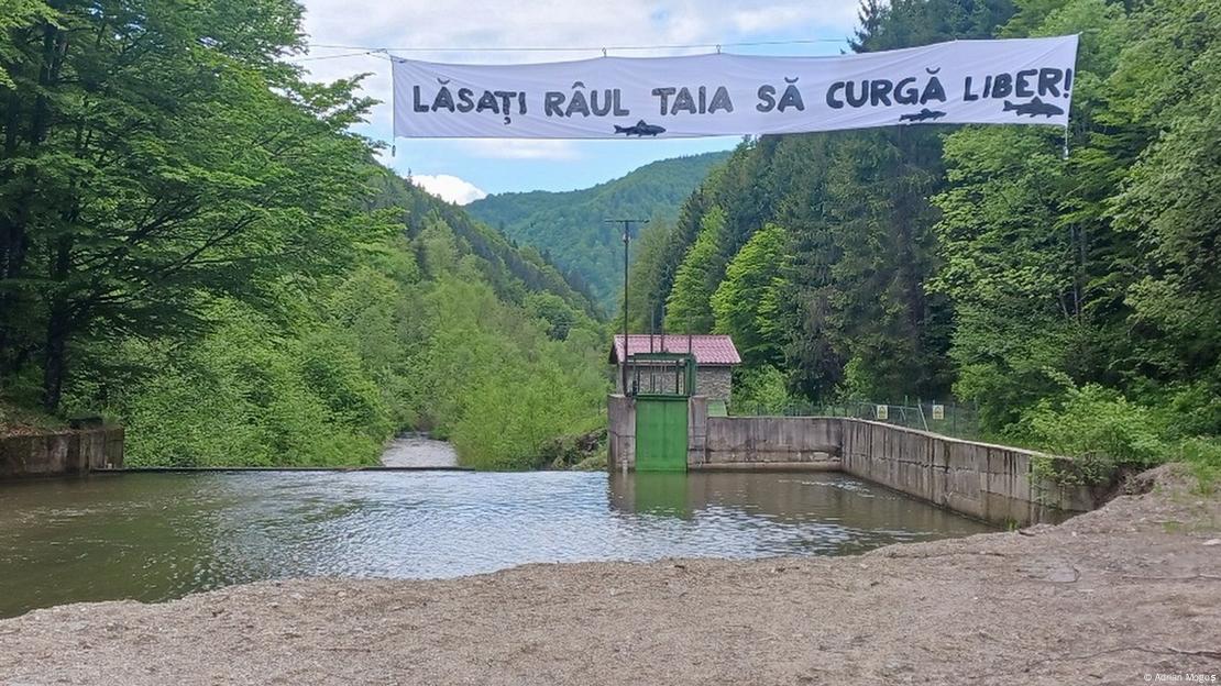 Ape moarte, profit viu: râuri ucise cu bani europeni | Deutsche Welle