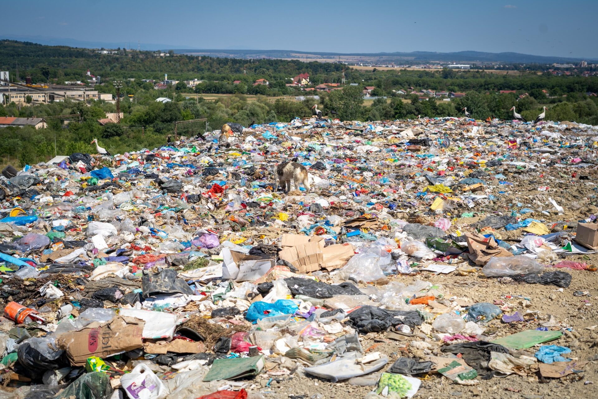 Ministra Mediului, vizită de lucru în Gorj și Hunedoara. A fost evaluată situația deșeurilor textile și a comerțului second-hand
