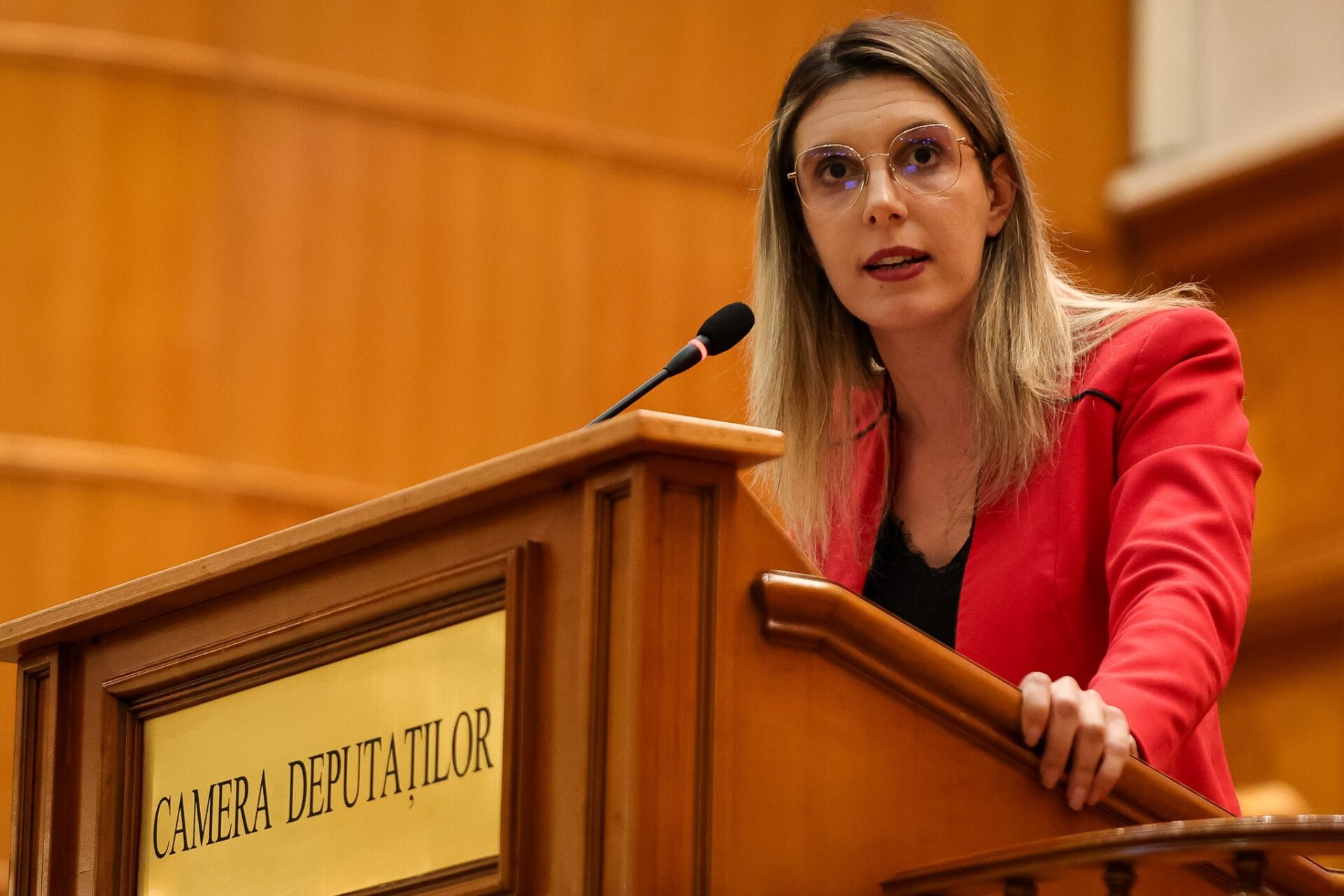 Plenul Camerei Deputaților respinge moțiunea simplă împotriva ministrului Mediului, Diana Buzoianu