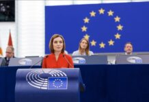 „Să ne apărăm democrația cu dinții, și să o facem împreună”: președinta R. Moldova în Parlamentul European