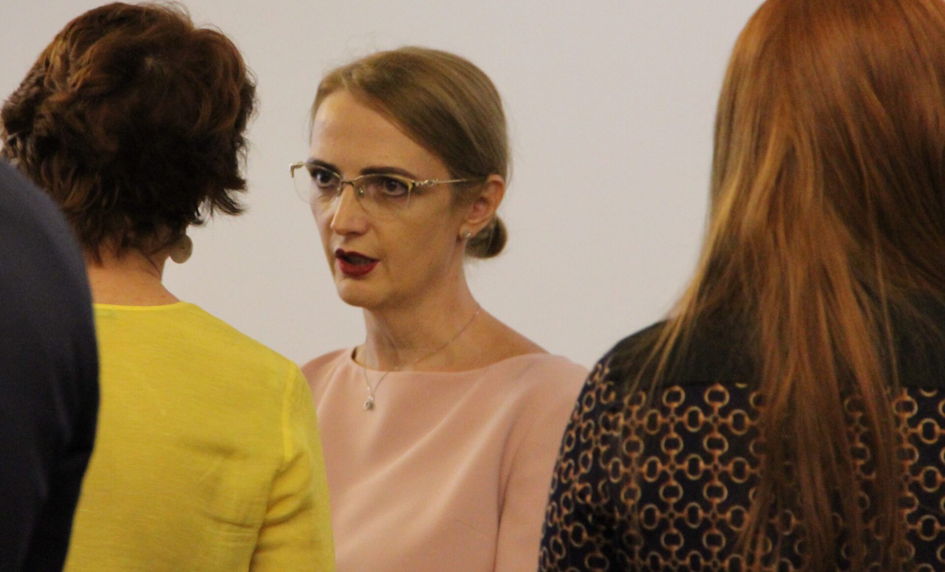 Lia Savonea s-a erijat în avocat, procuror și judecător ăn procesul Cameliei Bogdan de la ÎCCJ
