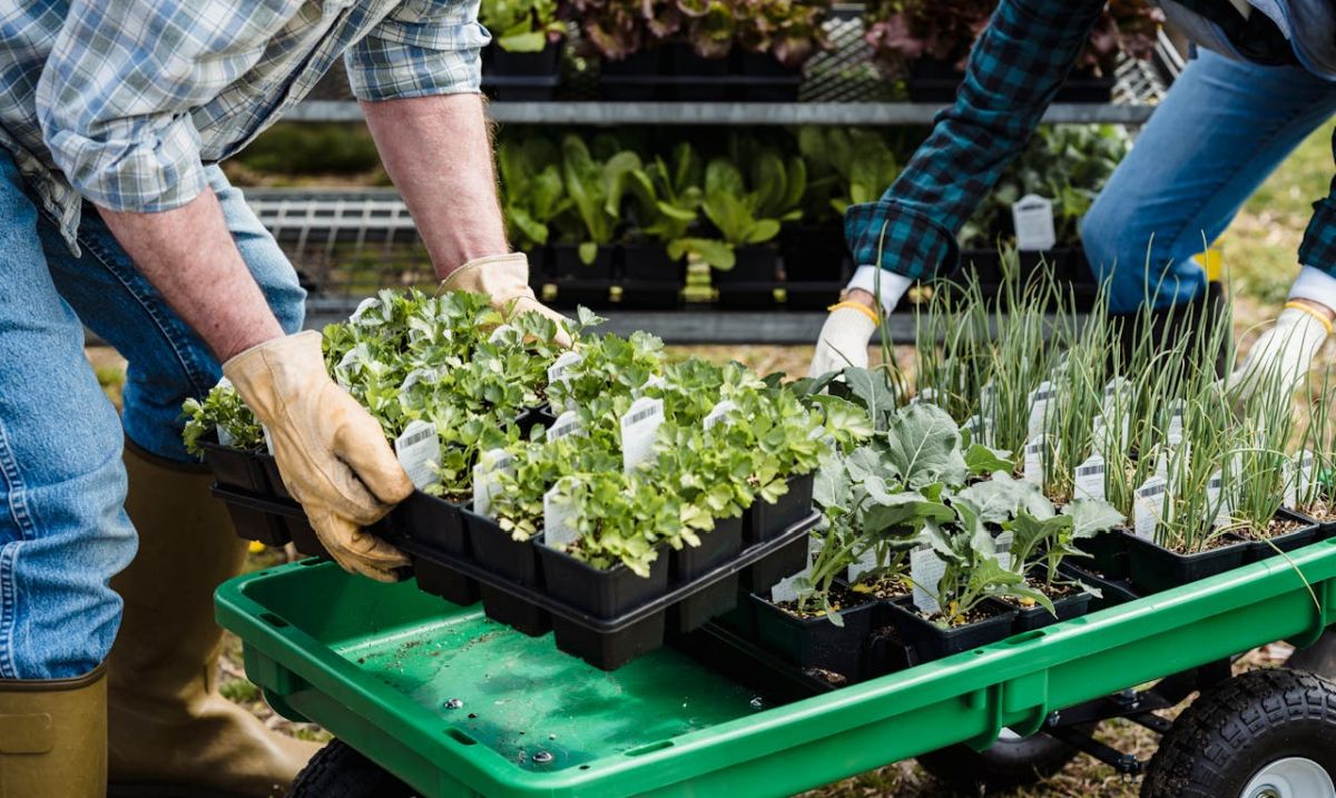 fermier ferma Diana Buzoianu: 18 ferme din România devin „ferme model” pentru protecția apelor și a solului