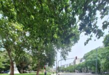 Buenos Aires în prima zi de Crăciun | FOTOREPORTAJ